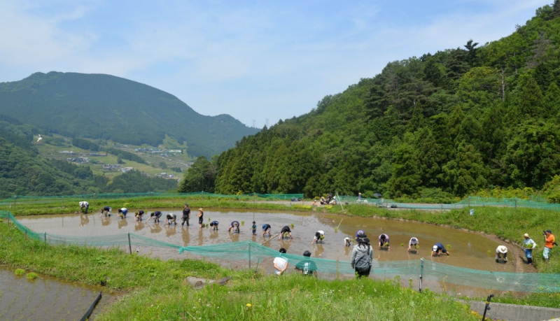 井内にて