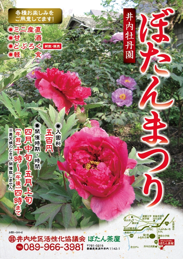 ぼたん茶屋に咲くぼたんの花